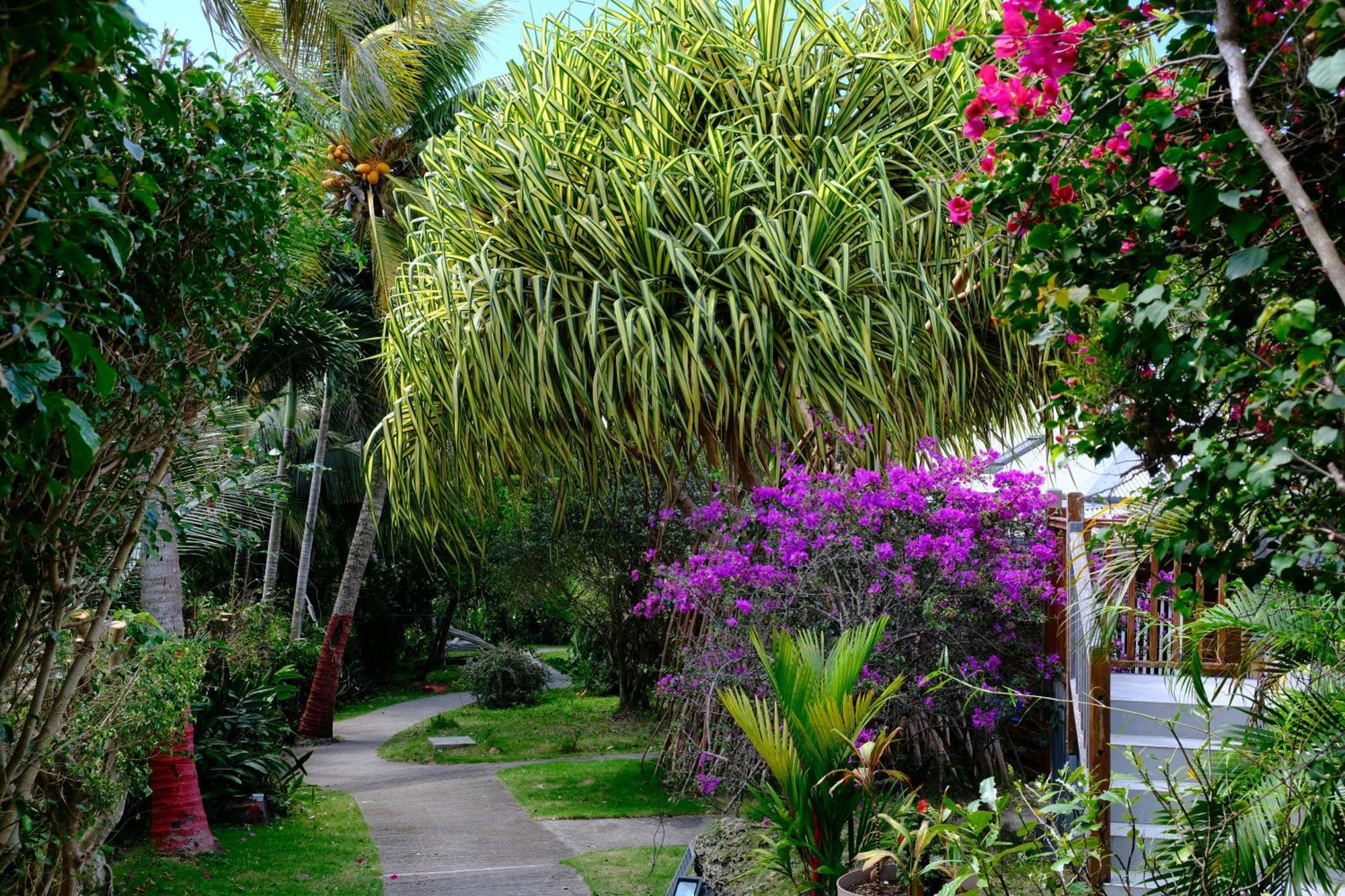 Nid Kreyol Villa Sainte-Anne  Exteriör bild